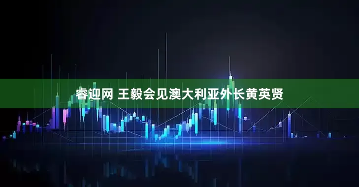 睿迎网 王毅会见澳大利亚外长黄英贤