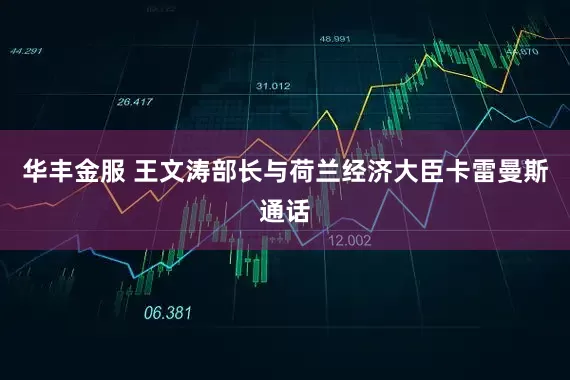 华丰金服 王文涛部长与荷兰经济大臣卡雷曼斯通话