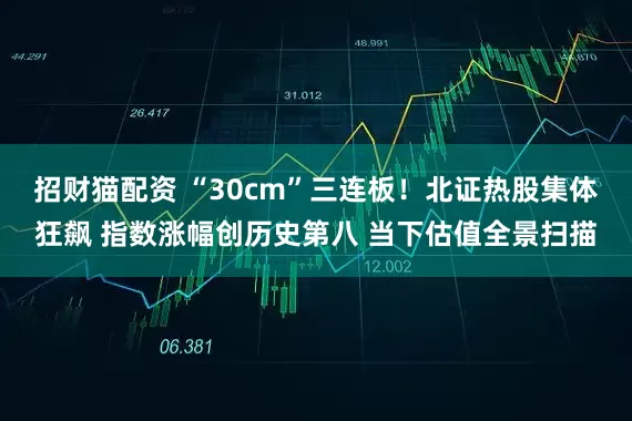 招财猫配资 “30cm”三连板！北证热股集体狂飙 指数涨幅创历史第八 当下估值全景扫描