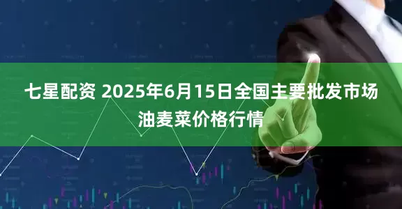 七星配资 2025年6月15日全国主要批发市场油麦菜价格行情
