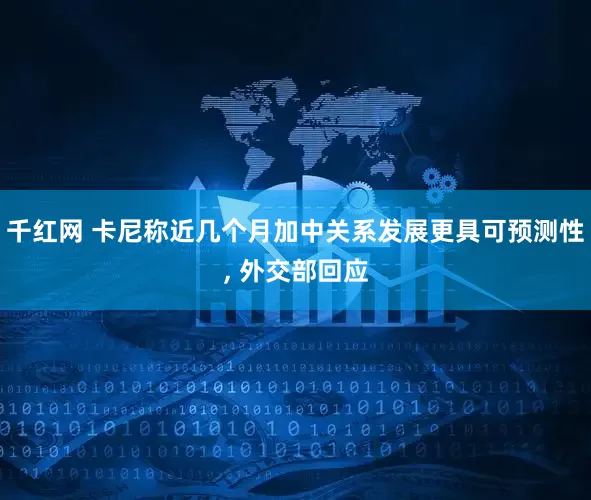 千红网 卡尼称近几个月加中关系发展更具可预测性, 外交部回应
