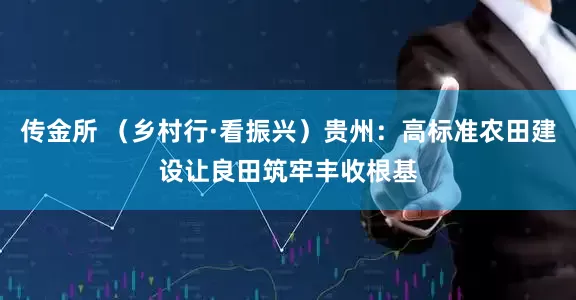 传金所 （乡村行·看振兴）贵州：高标准农田建设让良田筑牢丰收根基